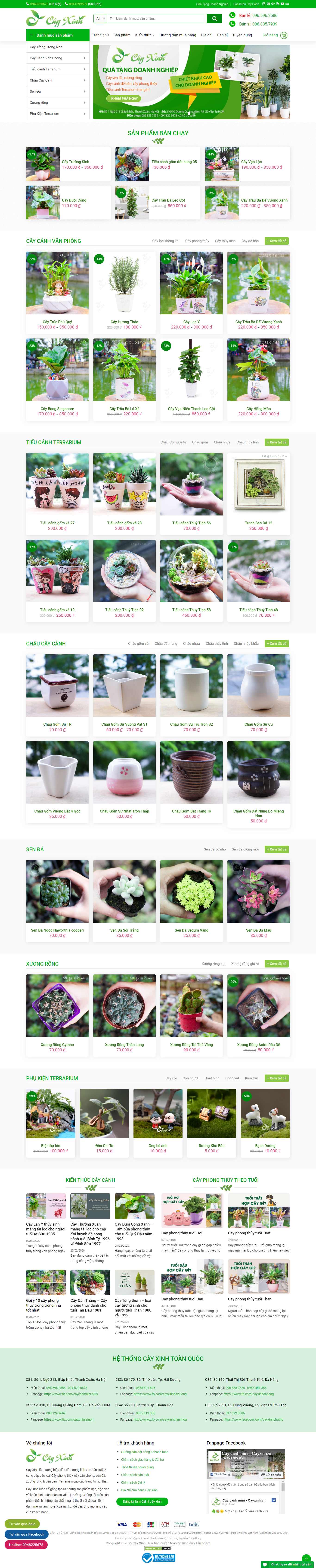 Thiết kế trang Web mua bán cây cảnh - cayxinh.vn